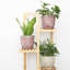 Ceramic Pot Planter