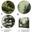 Pine Tree Forest-1974385002