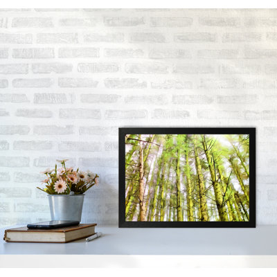 Woodland - Print on Canvas