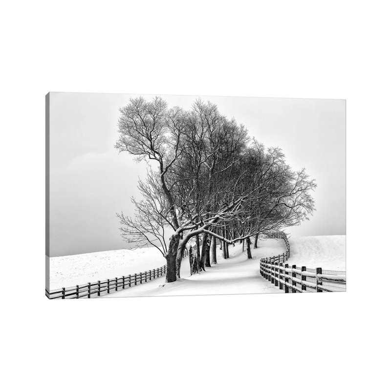 Along The Lane I by Aledanda - Wrapped Canvas Print, 20.32 cm H x 30.48 cm W