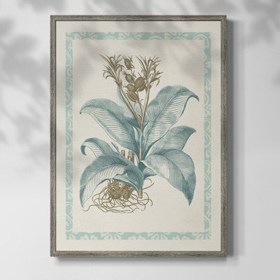 Reproduction encadrée Willow Blue Besler III - bois massif