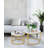 The Aura Nesting Coffee Table Set