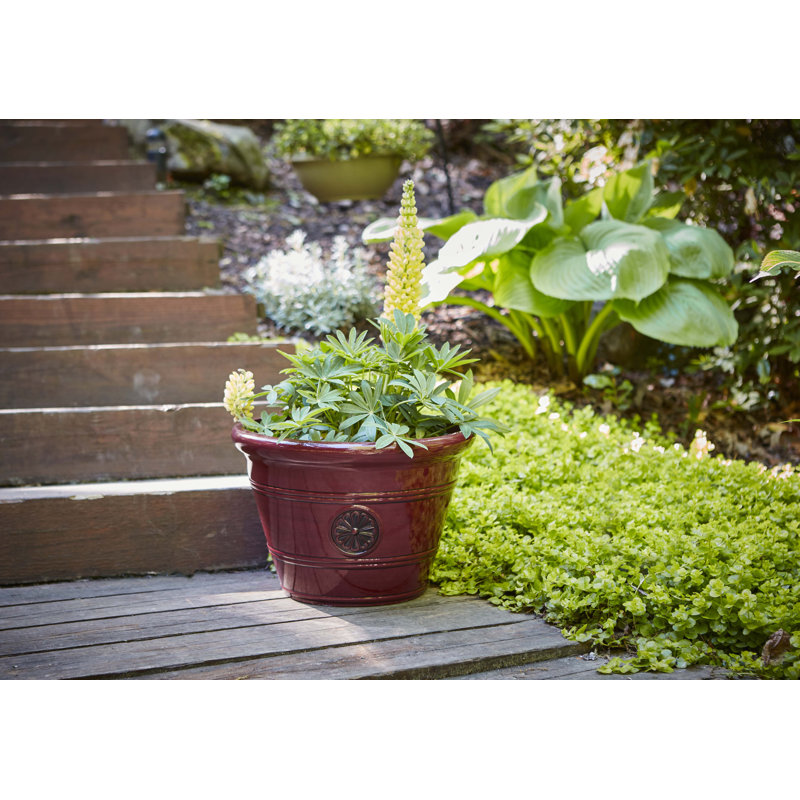 15.25" Modesto Resin Planter, Oxblood
