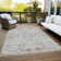 Machine Washable Indoor/Outdoor Cicel ACN1156 Gray Rug