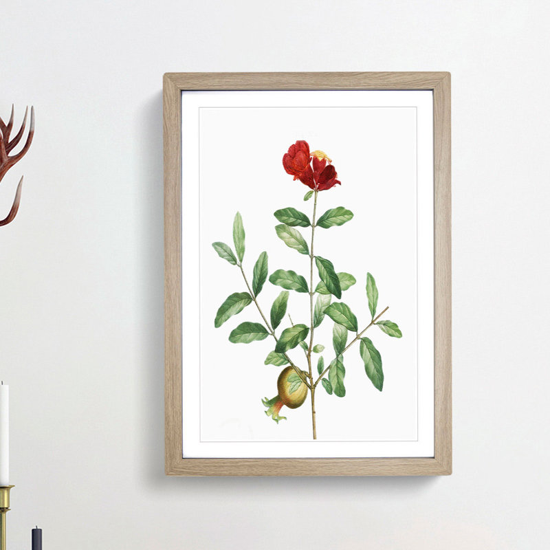 Pomegranate Tree Branch by Pierre-Joseph Redoute - Picture Frame Painting Print, 48cm H x 36cm W x 2cm D, Oak Framed