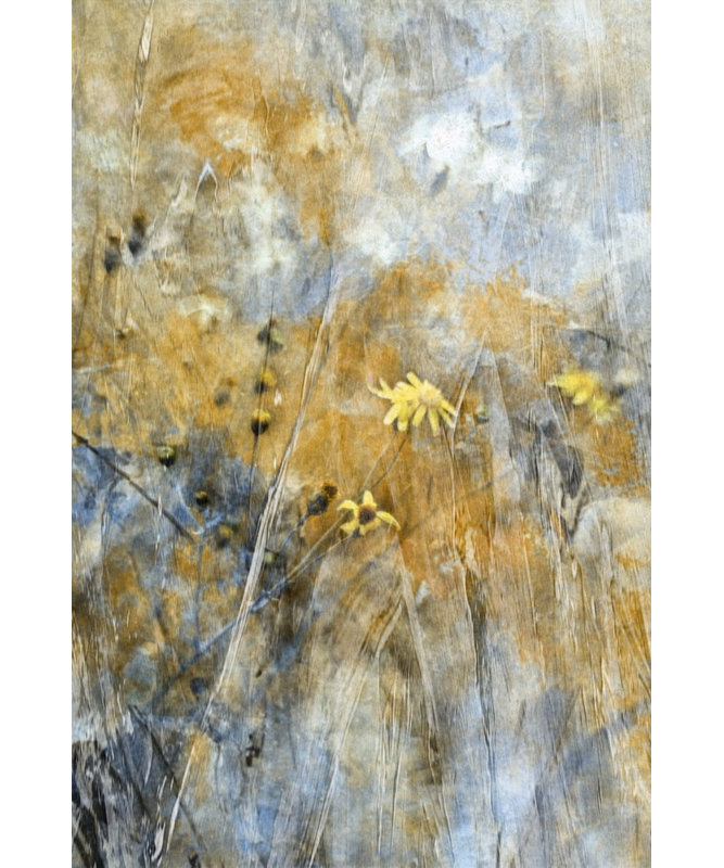 Wrapped Canvas Print, 50.8 cm H x 76.2 cm W