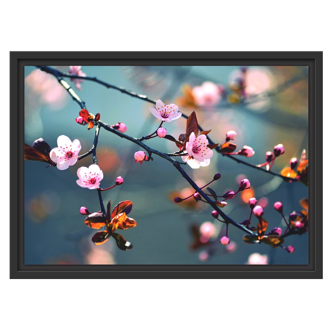 Gerahmtes Wandbild Exotische Sakura Blüten