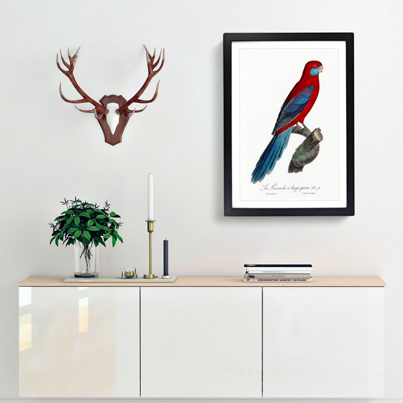 Crimson Rosella Parrot by F. Levaillant - Framed Print, 48cm H x 36cm W x 2cm D, Black Framed