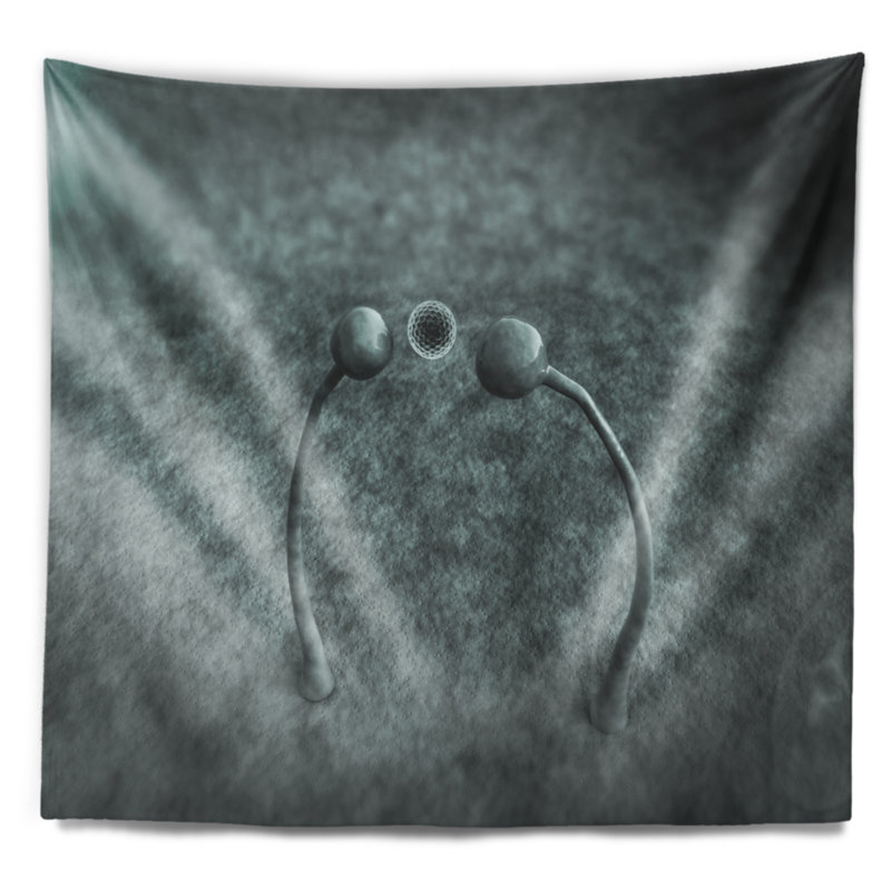 Tapisserie champignons sur surface en cuir landscape, H 32 po x l 39 po