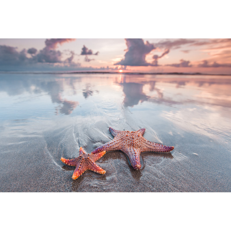 Starfish On Beach - Wrapped Canvas Print, 81cm H x 122cm W x 3.8cm D