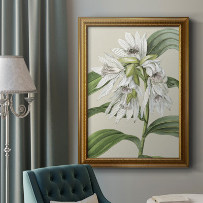 " Orchid Blooms III "