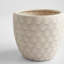 Nereus Handmade Ceramic Planter-1312301831