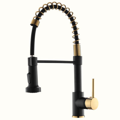 Kitchen Faucet with Pull Down Sprayer