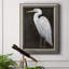 " White Heron Portrait II "-924232800
