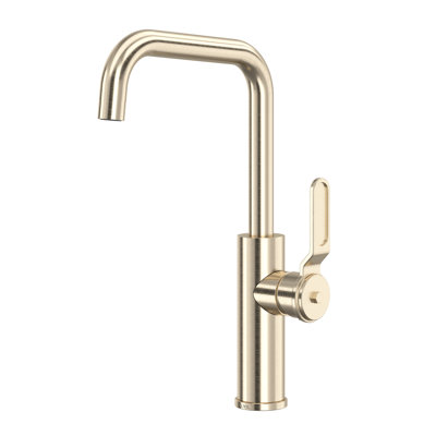 Myrina Bar/Food Prep Kitchen Faucet With U-Spout