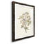 «Twig Study II», impression encadrée-1326240118-1326240127