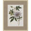 Floral Study In Plum 4 Painting
