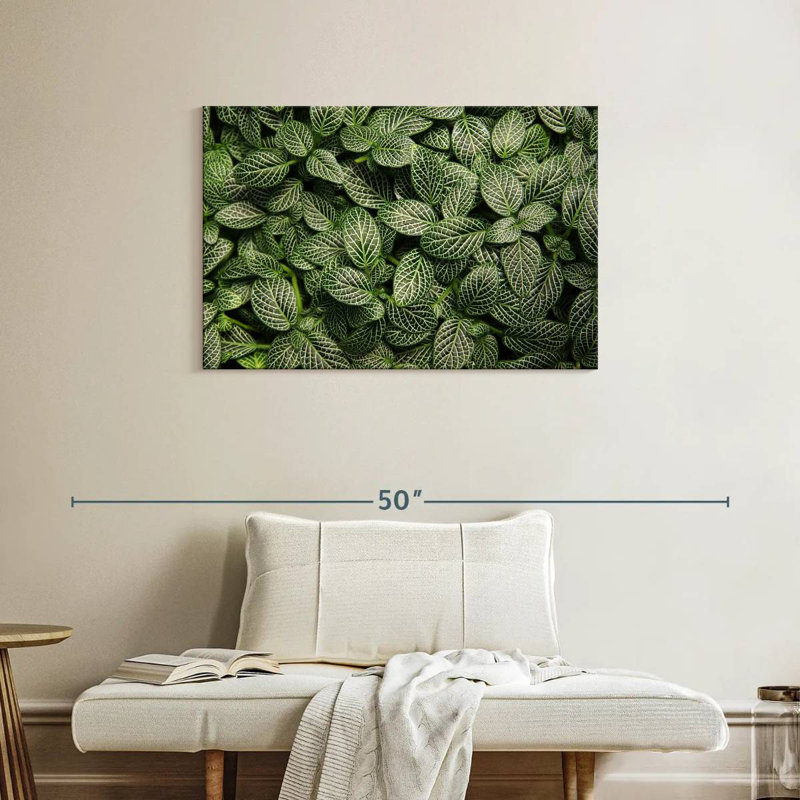 Harnek plante nerveuse verte, H 24 po x l 36 po