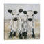 Debi Coules - Print on Canvas