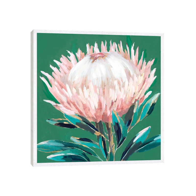 Single King Protea by Isabelle Z - Painting on Canvas, White Framed, 66.04 cm H x 66.04 cm W