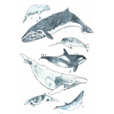Cetacea I 1 Piece Wrapped Canvas Painting