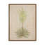 «Desert Flora Triptych» par Paul Meyer-1377021265