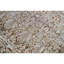 Ziegler Wool Oriental Area Rug