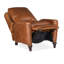 Rylea Power Recliner with Power Headrest-254556014-254556009