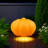 Solar-powered Pumpkin Light-119182558