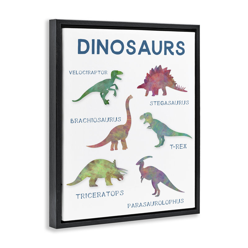 Cadre flottant simple de dinosaures pour l'éducation, design par CAD Designs, Cadre flottant noir de jais, H 21 po x l 17 po
