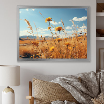 Coucher de soleil, fleurs d'été, prés