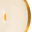 Jada 5-in Gold dimmable LED Wall Sconce-2021438409