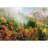 Aerial View Autumn Forest Tree-88769787