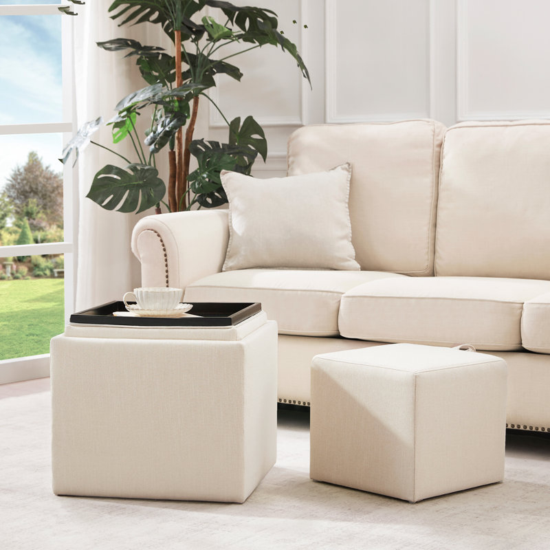 Costner Upholstered Storage Ottoman set, Beige