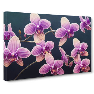 Enigmatic Orchid Flowers - Wrapped Canvas