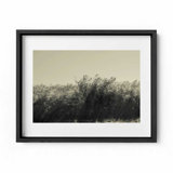 The Summer Wind Print by Joseph Regan