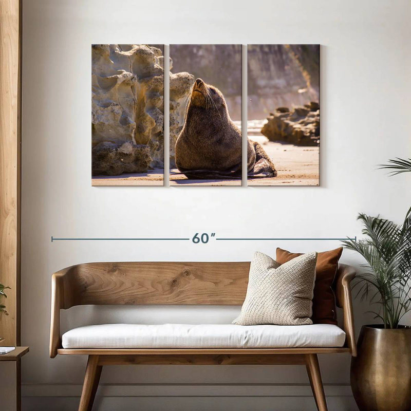 Phoque bronzant, H 28 po x l 45 po