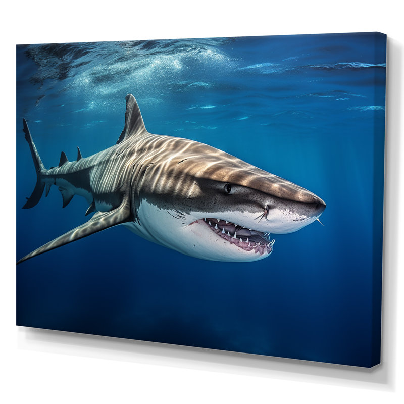 «Tiger Shark Territory I» sur toile, Toile tendue, H 12 po x l 20 po x P 1 po