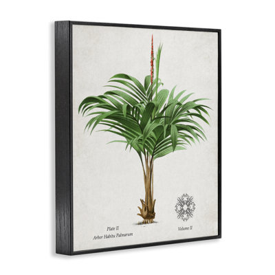Giclée vintage encadrée de palmier large, design par Val Rhodes