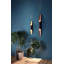Apodis 2-Light LED Up & Downlight-33659725-33659726