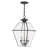 Boto 3 - Light Outdoor Hanging Lantern