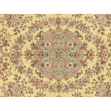 High-Quality Hand-Knotted Gold And Light Green Area Rug