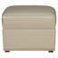 Liz Leather Ottoman-1030559842