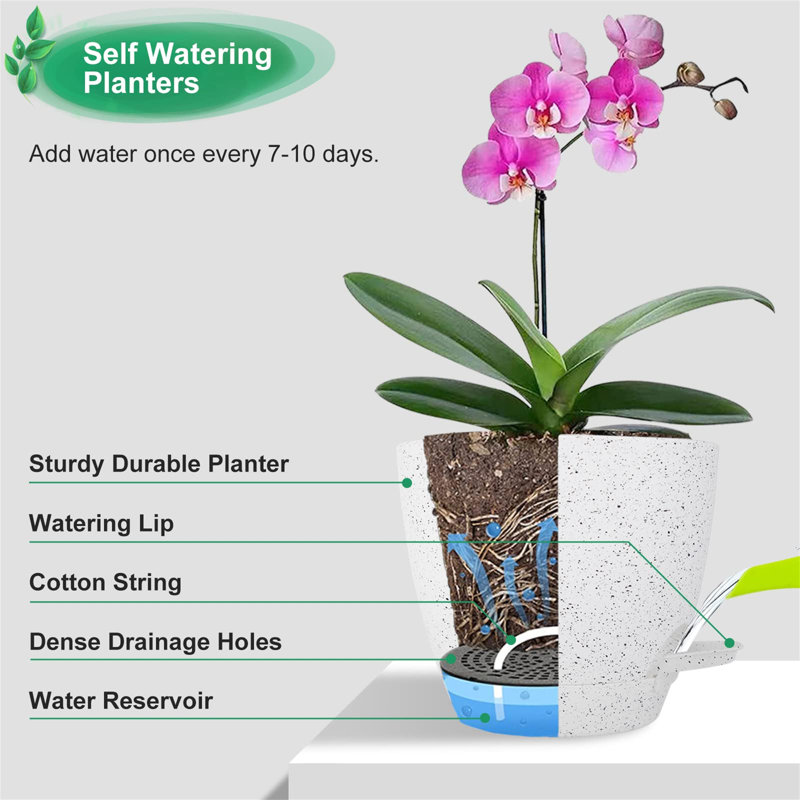 Borsari Pot Planter, White