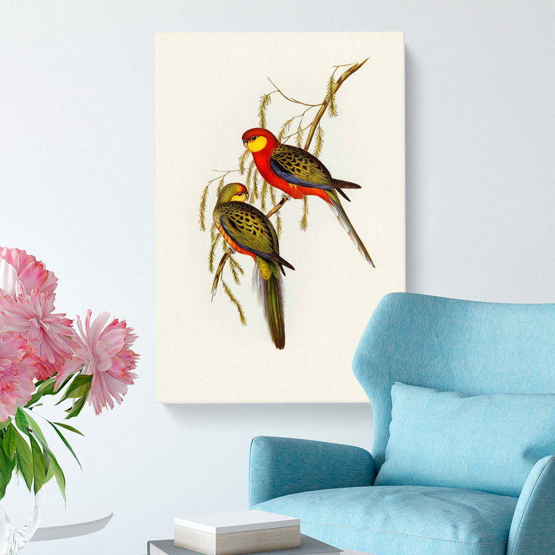 Earl Of Derby's Parakeets by R.J. Thornton - Wrapped Canvas Painting, 50cm H x 35cm W x 3cm D