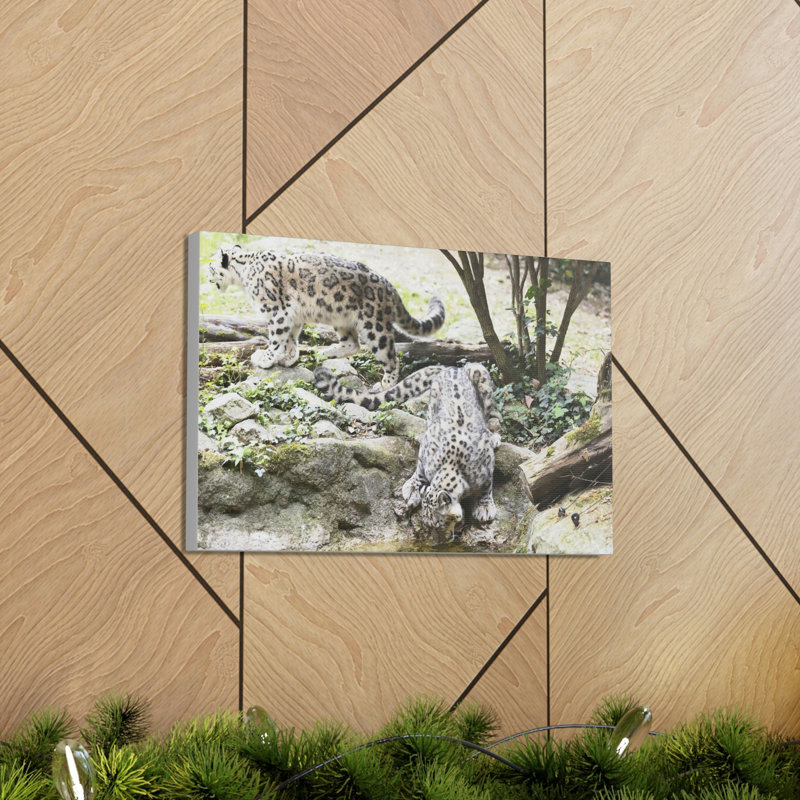 No Frame Print on Canvas, 30.48cm H x 45.72cm W