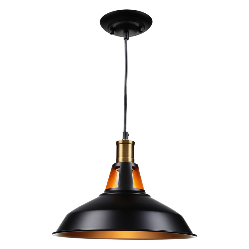 Luminaire suspendu pour dôme simple 1 lumières Newhaven