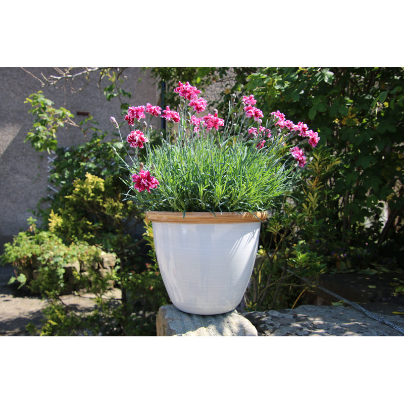 Sundhya Pot Planter, 10.5 x 13 x 13, Cream/Beige Gloss