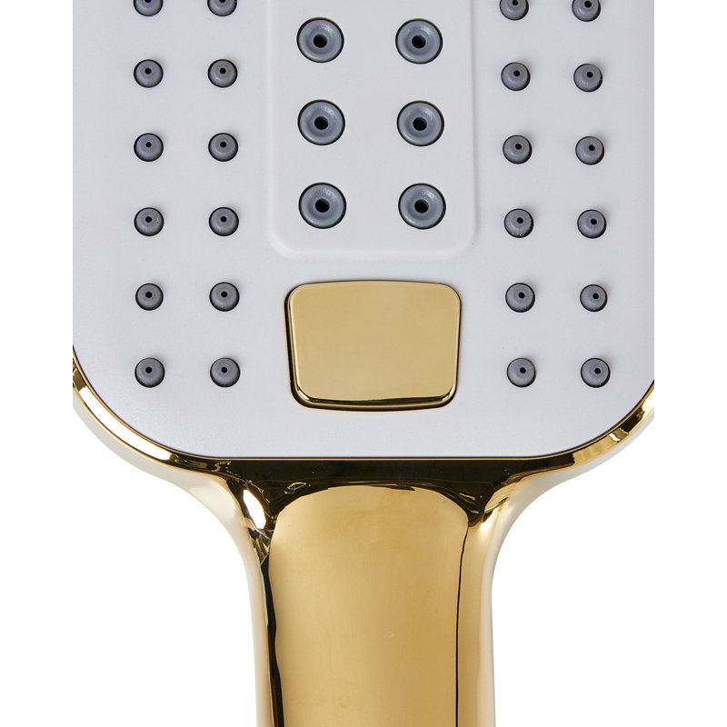 Shower Head and Hose Kit TINGO, Gold