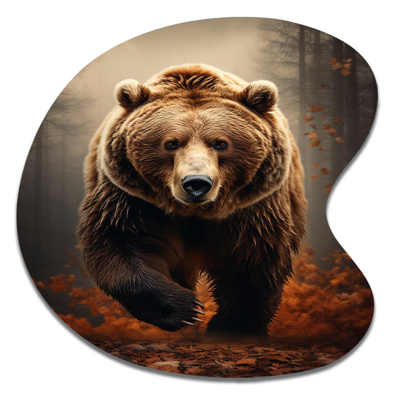 «Bear Wild Majesty Bear I» - art mural asymétrique en forme d'ours, H 33 po x l 33 po